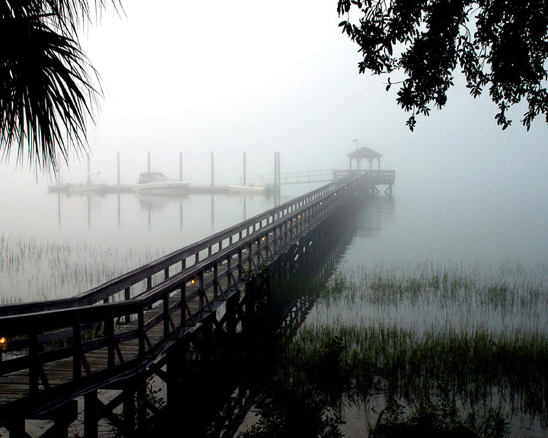 Foggy morning low country dock