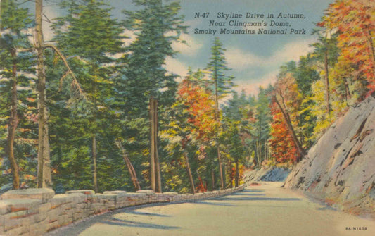Asheville, North Carolina Postcard