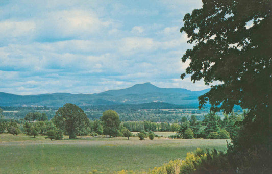 Manchester, Vermont  Postcard